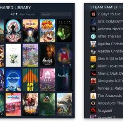 Jak udostępnić bibliotekę Steam znajomemu i uniknąć problemów z dostępem
