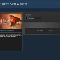 Grafika przedstawia okno Steam z otrzymanym prezentem: grą Sea of Thieves Deluxe Edition.