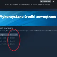 Jak łatwo sprawdzić, ile wydałeś na Steam – proste kroki i wskazówki