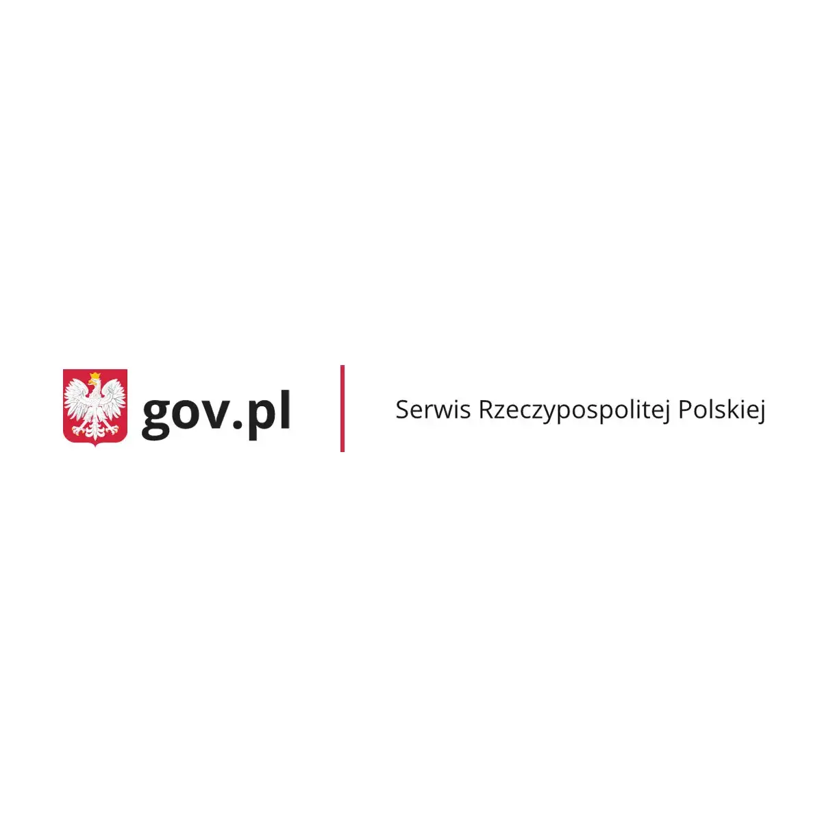 Zdjęcie Scena graczy w Nowej Zelandii: jak wyspiarski kraj tworzy światowej klasy produkcje